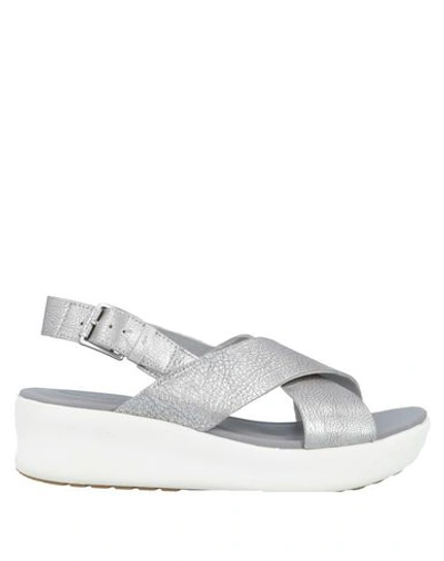 Timberland Sandals In Silver