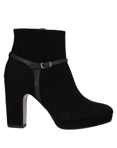 Albano Ankle Boots In Black