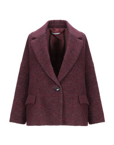 Circolo 1901 1901 Coats In Maroon