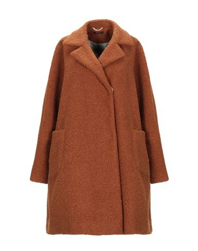 True Tradition Coats In Brown
