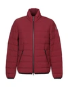 Montecore Down Jacket In Maroon