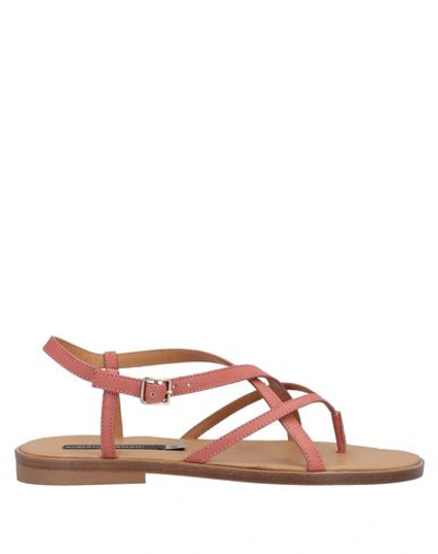 Alberto Fermani Flip Flops In Coral