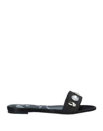 Cavalli Class Sandals In Black