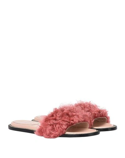 Alberta Ferretti Sandals In Pink