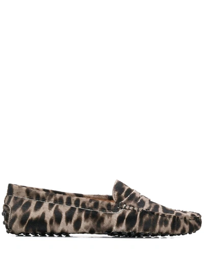 Tod's Gommini Leopard Print Genuine Calf Hair Driving Moccasin In Leopard Grey