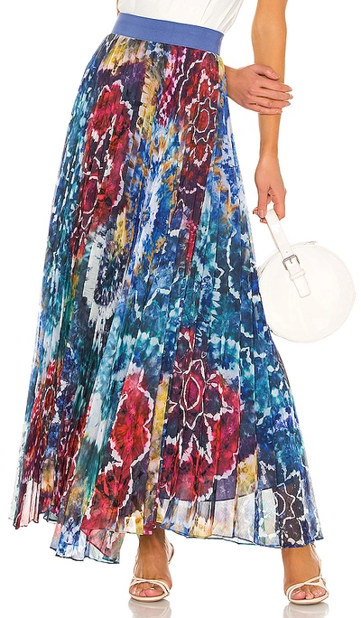 Alice And Olivia Shannon Pleated Printed Chiffon Maxi Skirt In Multicolor