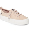 Sperry Crest Vibe Slip-on Platform Sneaker In Rose Dust Canvas