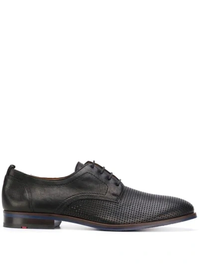 Lloyd Perforated Derby Shoes In Black