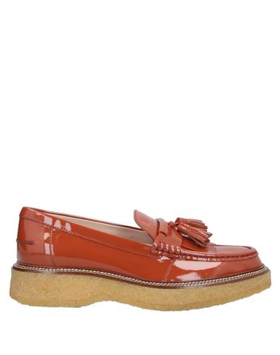 Tod's Loafers In Rust