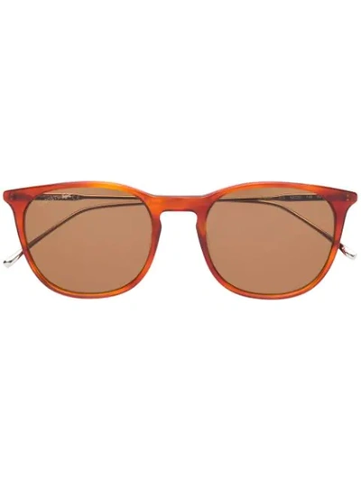 Lacoste Tortoiseshell Frame Sunglasses In Brown
