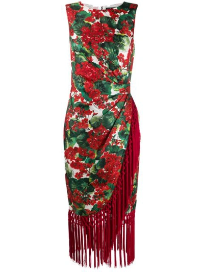 Dolce & Gabbana Geranium Print Fringe Trim Midi Dress In Red