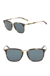 Ferragamo 54mm Square Sunglasses In Striped Brown