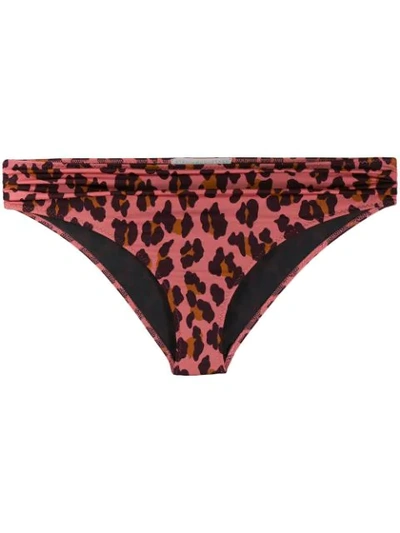 Stella Mccartney Leopard Print Bottom In Pink