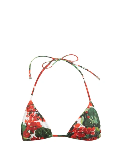 Dolce & Gabbana Portofino-print Triangle Bikini Top In Floral Print