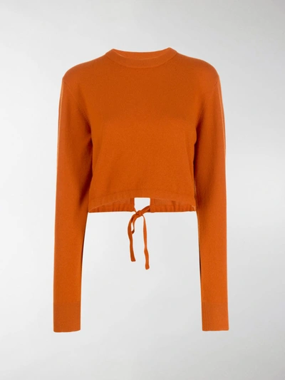 Chloé Long Sleeve Cropped Sweater In Brown