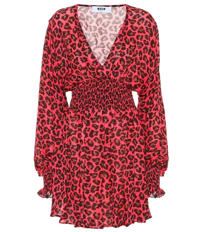 Msgm Leopard-print Crêpe Minidress In Pink