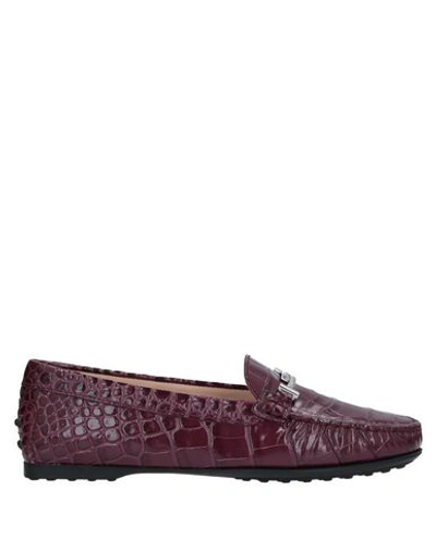 Tod's Loafers In Purple
