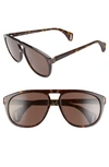 Gucci 60mm Aviator Sunglasses In Shiny Dark Havana