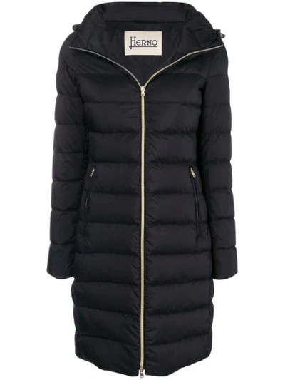 Herno Zipped Padded Jacket In Black