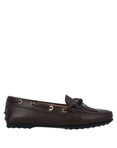 Tod's Loafers In Brown