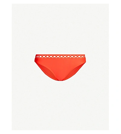 Ted Baker Latrelo Scalloped-trim High-leg Bikini Bottoms In Red
