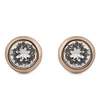 Ted Baker Sinaa Opal Stud Earrings In Clear