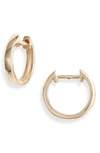 Anzie Cleo Huggie Hoop Earrings In Gold