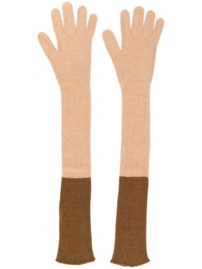 Agnona Cashmere Long Gloves In N40 Brown
