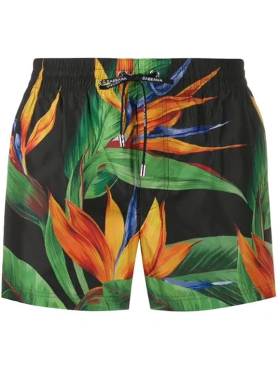 Dolce & Gabbana Short Swimming Trunks With Bird Of Paradise Print In Green