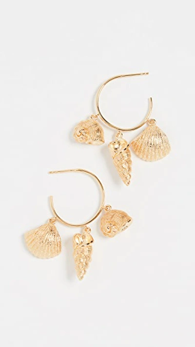 Aurelie Bidermann Hoop Multi Shell Earrings In Gold