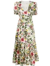 Borgo De Nor Lucia Tropical Print Flared Dress In White