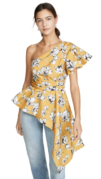 Amur Liberty Floral-patterned One-shoulder Blouse In Print