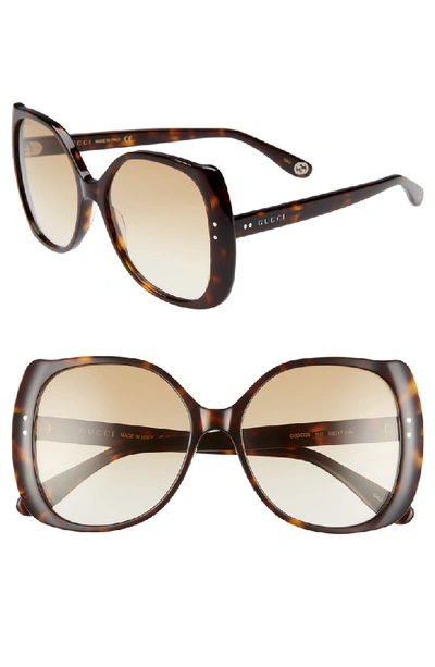 Gucci 56mm Gradient Butterfly Sunglasses In Shiny Dk Hav/brn Grad