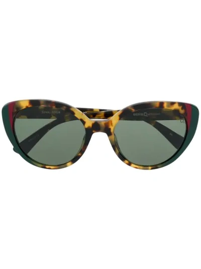 Etnia Barcelona Sena Sunglasses In Braun