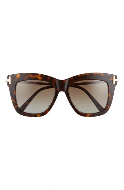 Tom Ford Dasha 52mm Polarized Square Sunglasses In Dark Havana/ Rose Gold/ Brown