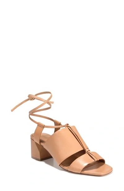 Vince Dunaway Ankle-wrap Leather Sandals In Roasted Cashew