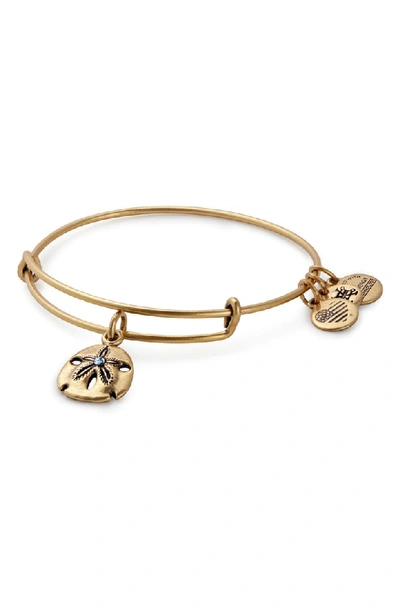 Alex And Ani Sand Dollar Adjustable Wire Bangle In Gold