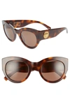 Versace Tribute 51mm Cat Eye Sunglasses - Havana Solid