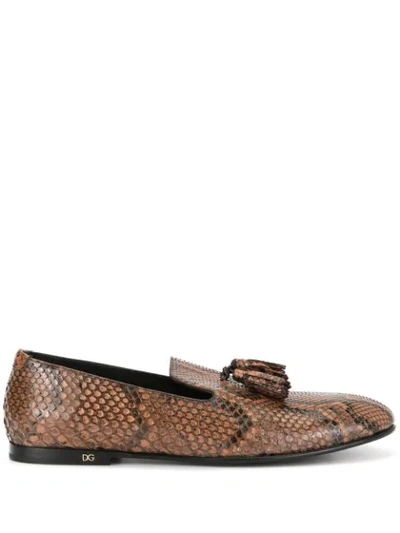 Dolce & Gabbana Snake Effect Tassel Loafers In Brown