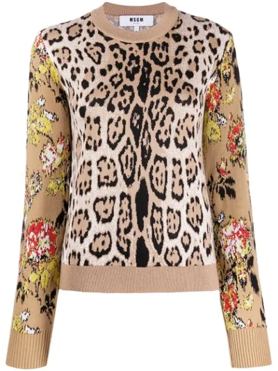 Msgm Leopard Print Sweatshirt In Beige