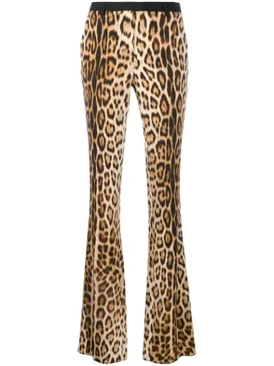 Roberto Cavalli Leopard Print Flared Trousers In Brown
