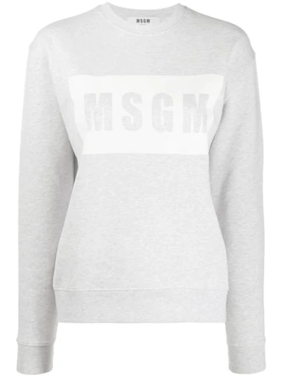 Msgm Logo Print Sweatshirt In Grey