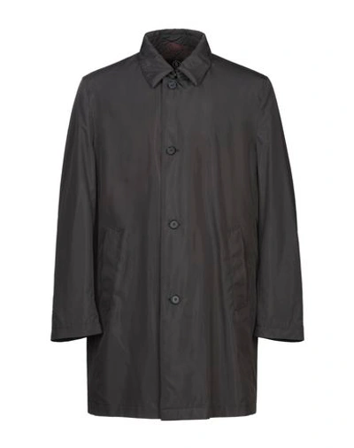 Schneiders Overcoats In Black