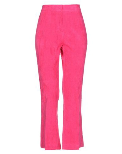 Jucca Pants In Pink