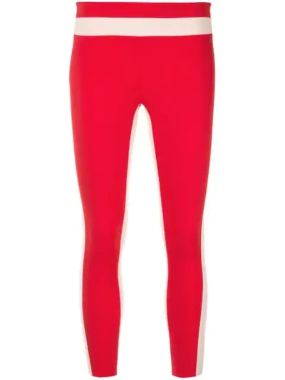 Vaara Freya Tuxedo Leggings In Red
