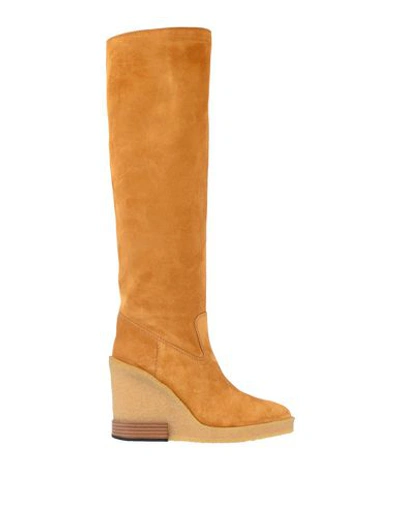 Tod's Knee Boots In Mustard