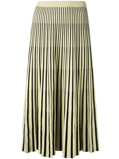 Proenza Schouler Pleated Stripe Jacquard Knit Skirt In Neutrals