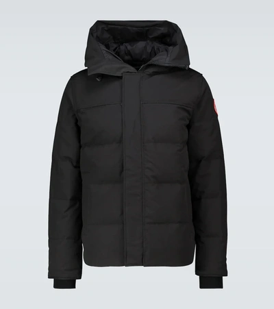 Canada goose macmillan on sale graphite