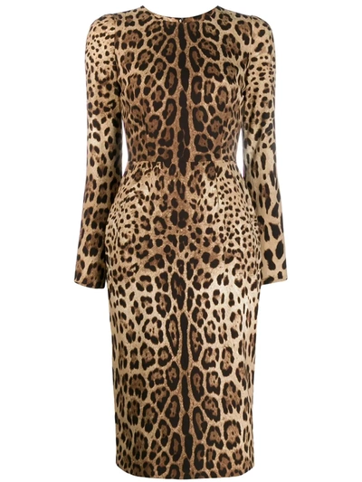 Dolce & Gabbana Printed Stretch Charmeuse Midi Dress In Animalier