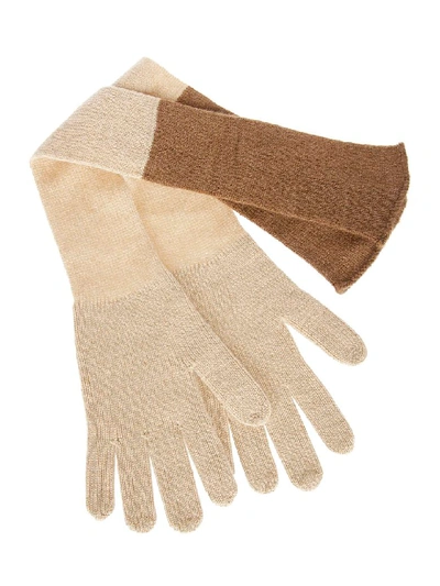 Agnona Ribbed Gloves In Brown